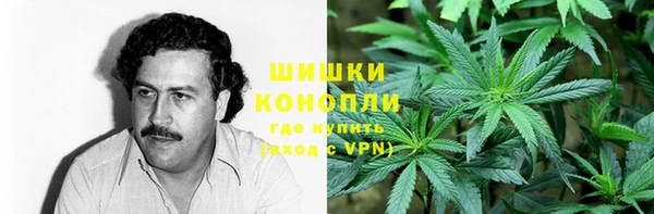 крисы Дмитровск