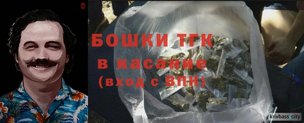ECSTASY Белокуриха