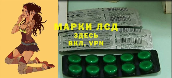 ECSTASY Белокуриха