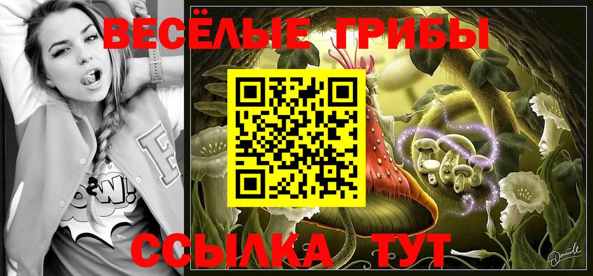 закладки  Вход с VPN  Гусев  Галлюциногенные грибы MAGIC MUSHROOMS  Галлюциногенные грибы Magic Shrooms 