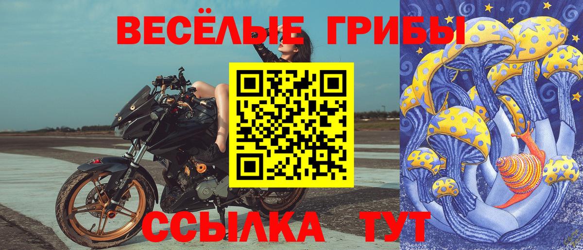 Псилоцибиновые грибы прущие грибы Гусев